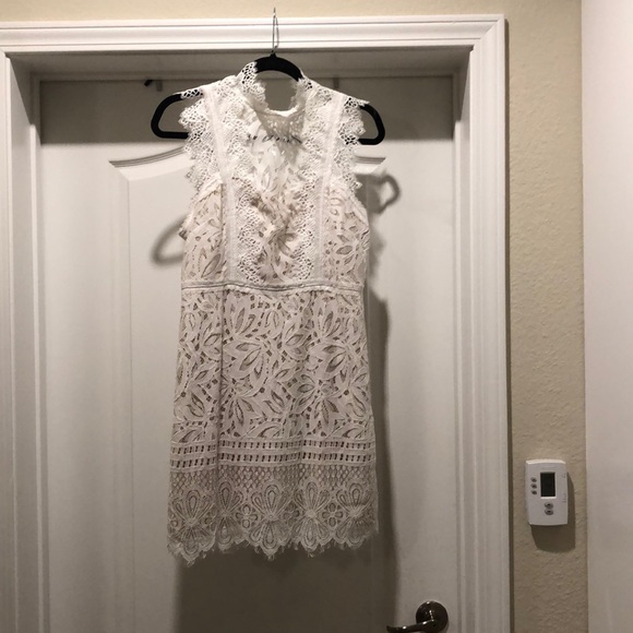 Vici Dresses & Skirts - Grand Entrance Lace Dress (Vici) (Large)